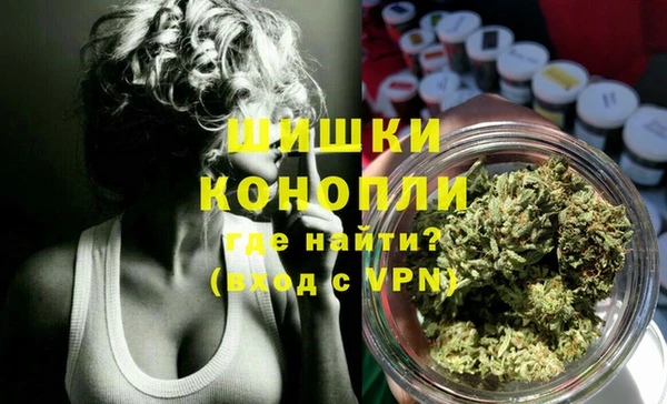 spice Аркадак