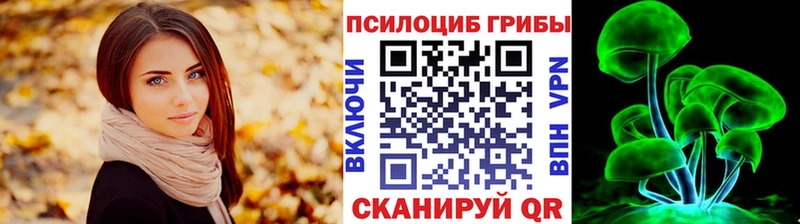 Псилоцибиновые грибы Psilocybe  Козьмодемьянск 